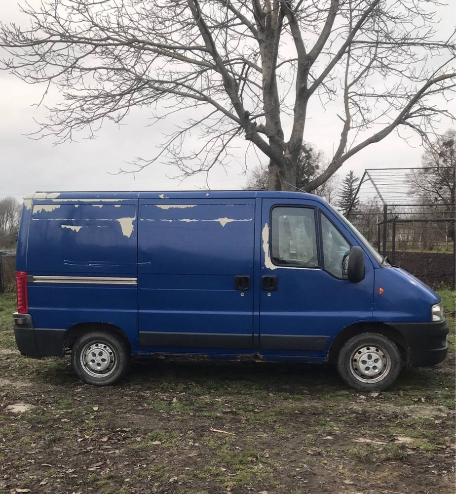 fiat ducato 2004