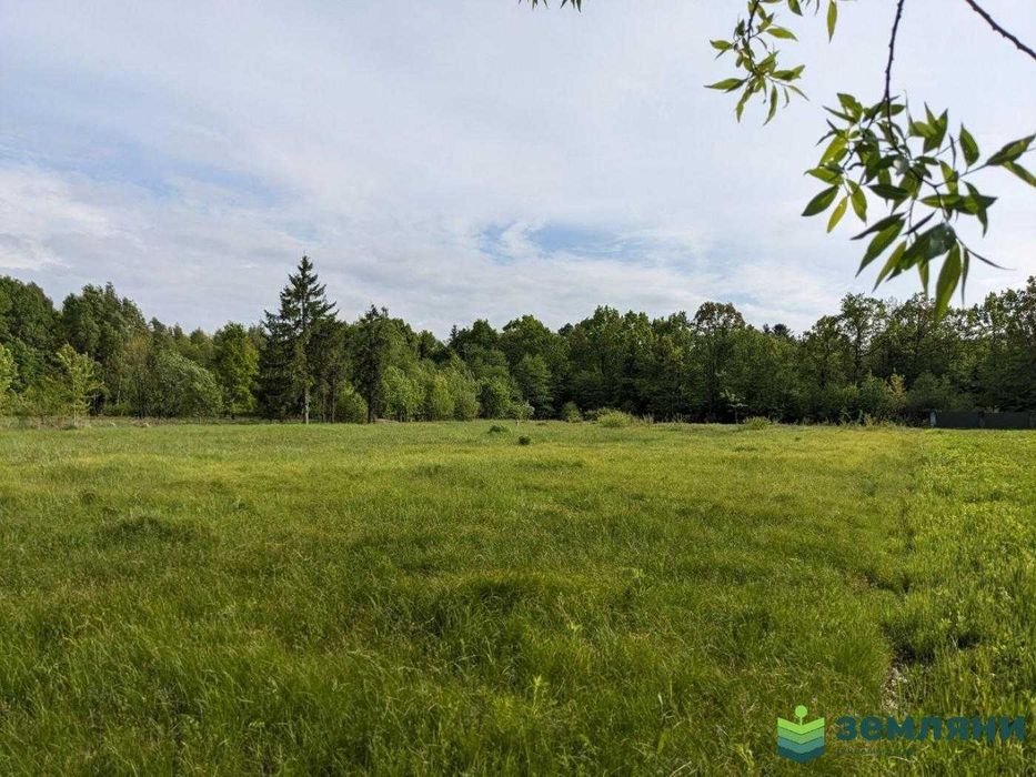 Продаж земельної ділянки біля лісу 23,58 сот в с. Нова Гута (8)