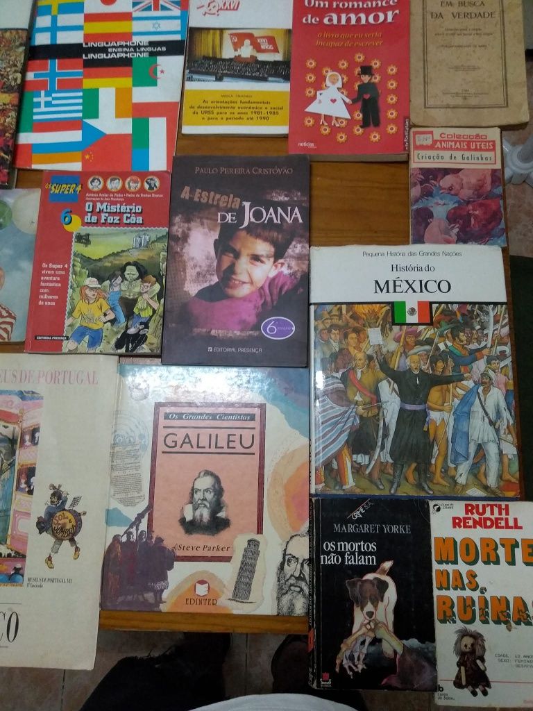 Lote de livros coleção