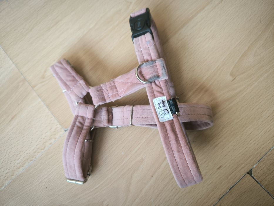 Szelki welurowe Rudy Design