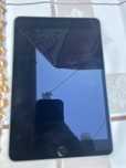 Apple Ipad mini