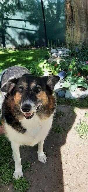 Nerunia szuka miejsca u boku Człowieka, który ją pokocha.