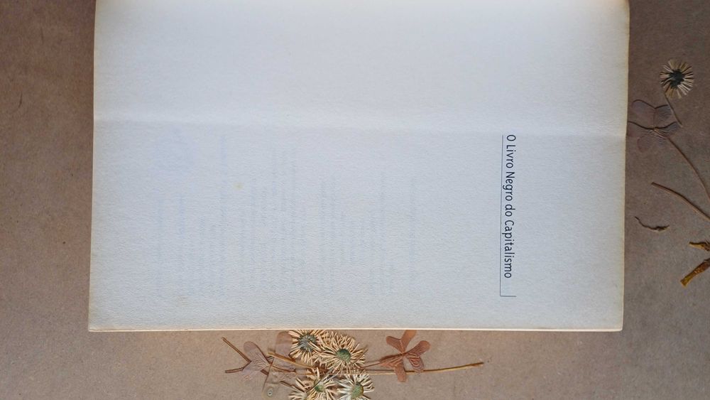 O Livro Negro do Capitalismo