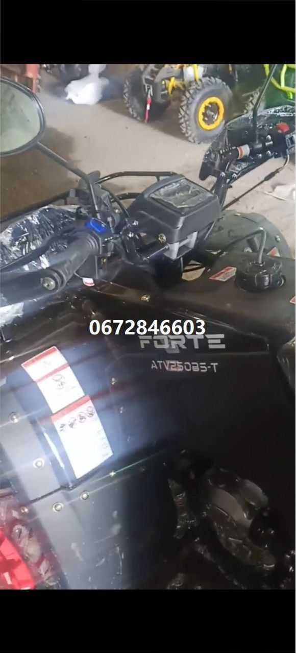 Квадроцикл грузовой Forte ATV 250 BS-T черный доставка під двір Форте