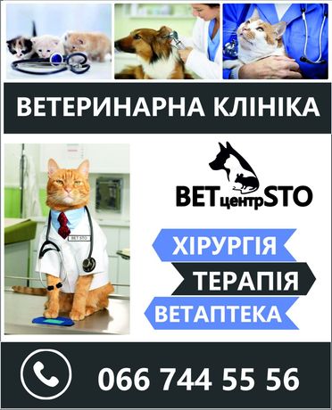 Вет лікар  15000- 20000 грн