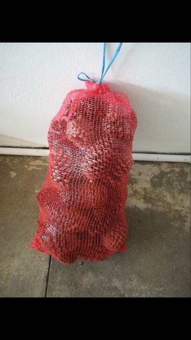 Pinhas. Sacos de 20 kg e 50 kg