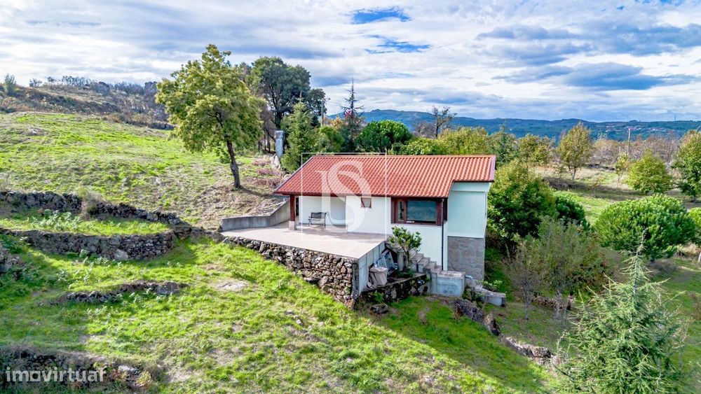 Moradia T1 Renovada Com 10.000 M² – Bustelo, Amarante