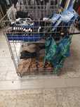 Kosze metalowe sklepowe