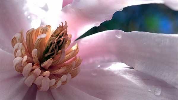 Tamron 18-300mm f/3.5-6.3 Di III-A VC VXD Fujifilm c/garantia