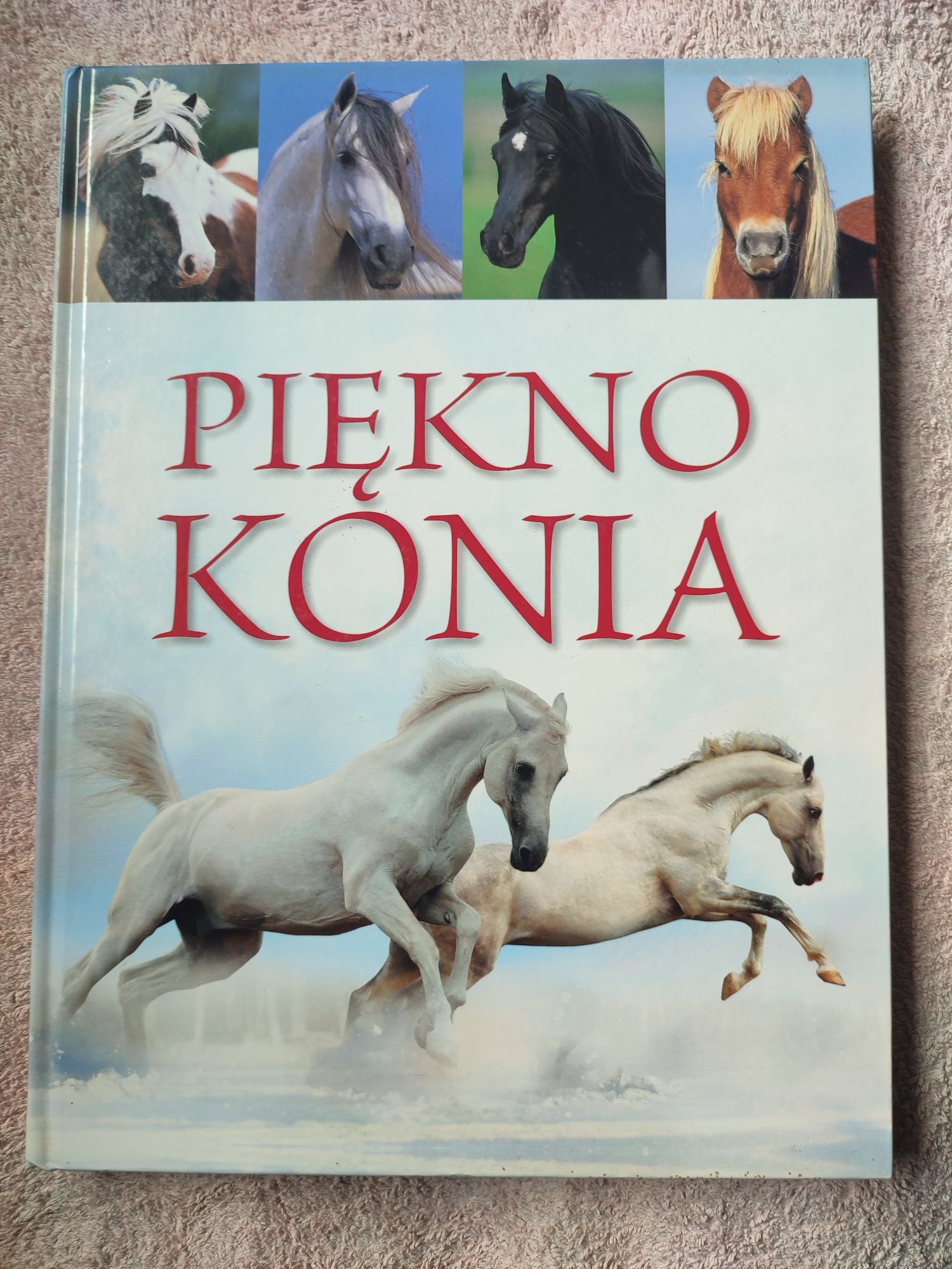 Zestaw książek o koniach i kucach