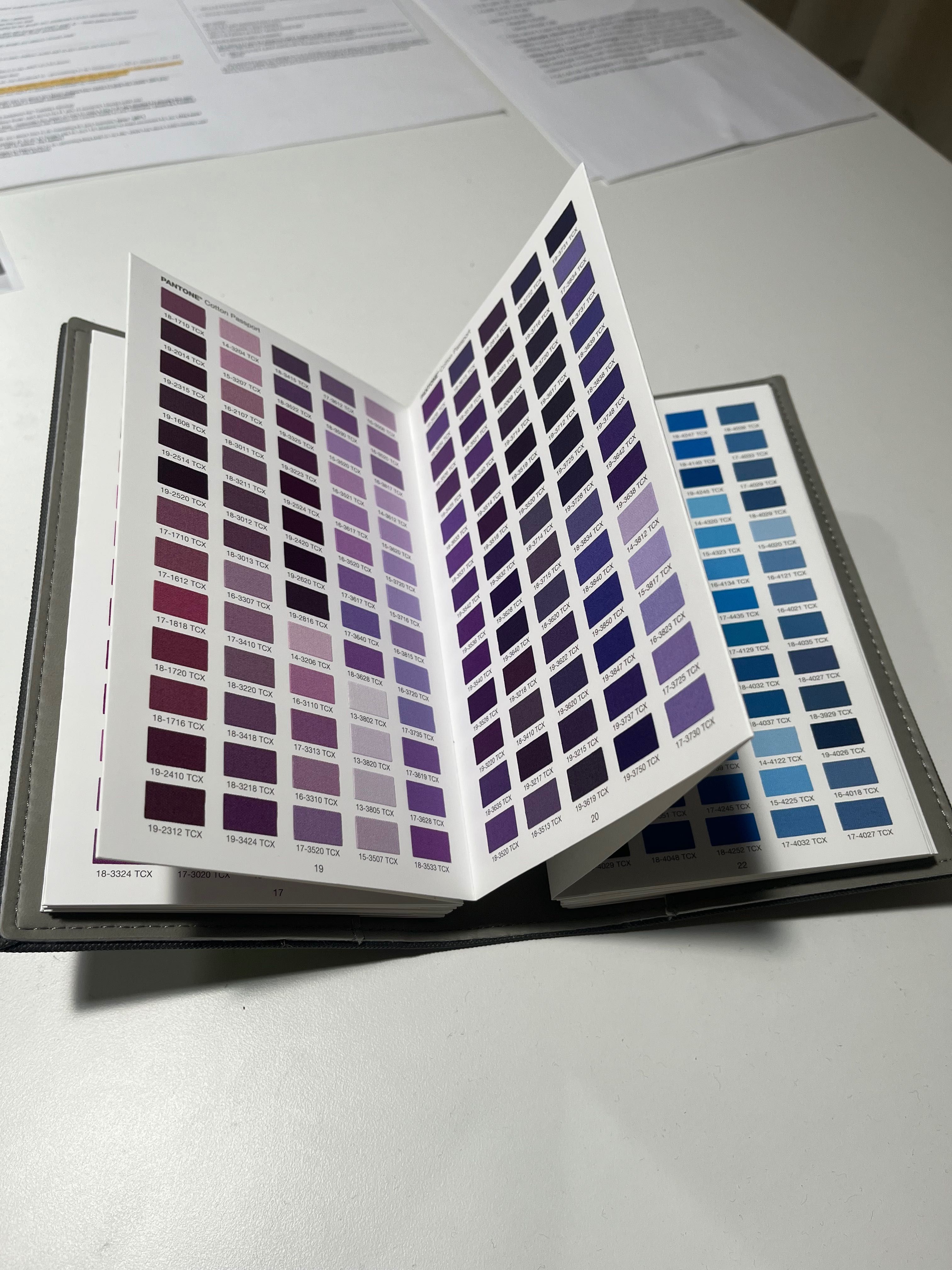 Pantone Fashion Home + Interiors - Cotton Passport