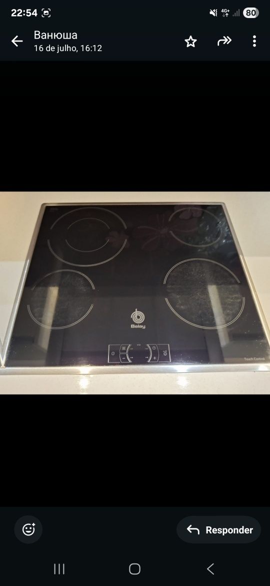 Microondas, forno e placa de indução encastre – 300€ (conjunto)