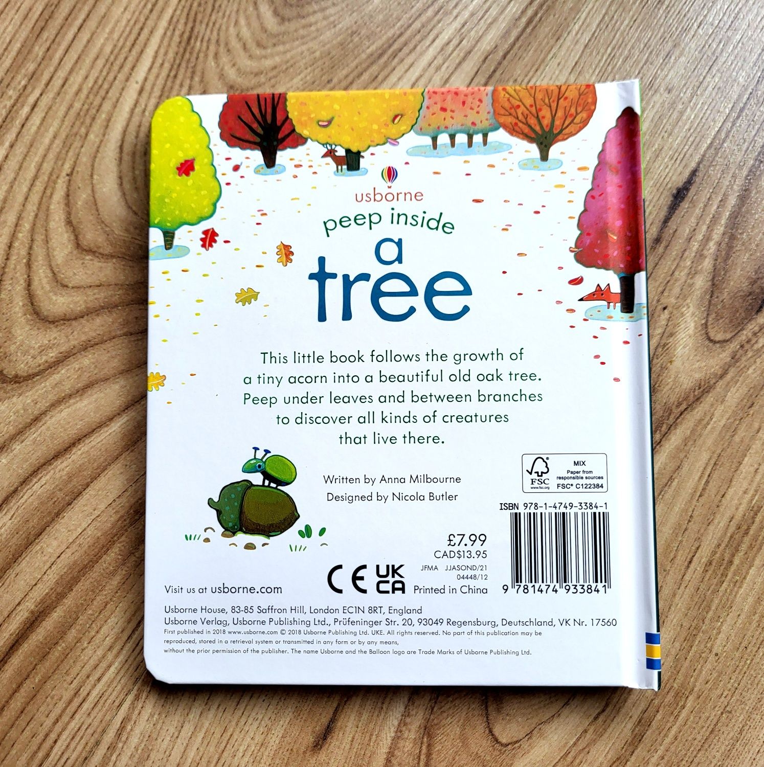 A Tree Usborne Peep Inside z okienkami po angielsku