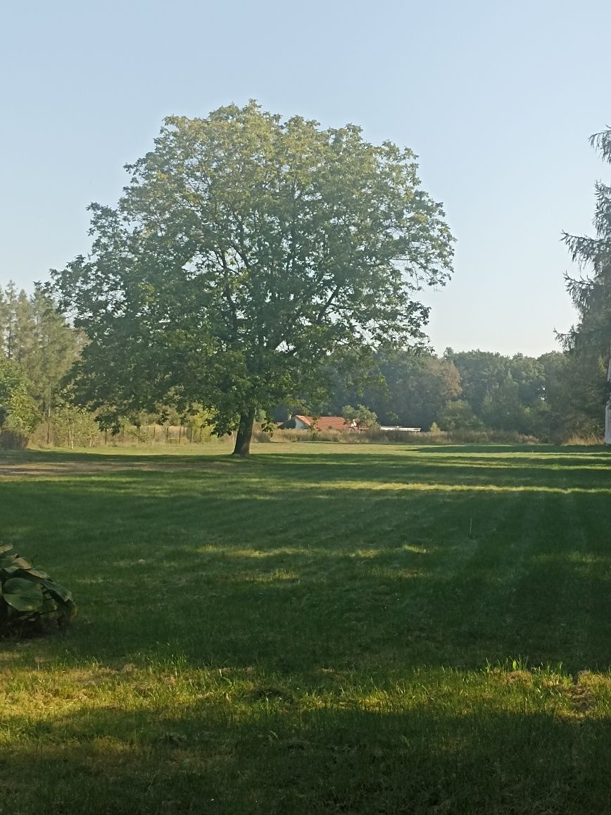 Sprzedam działkę budowlaną