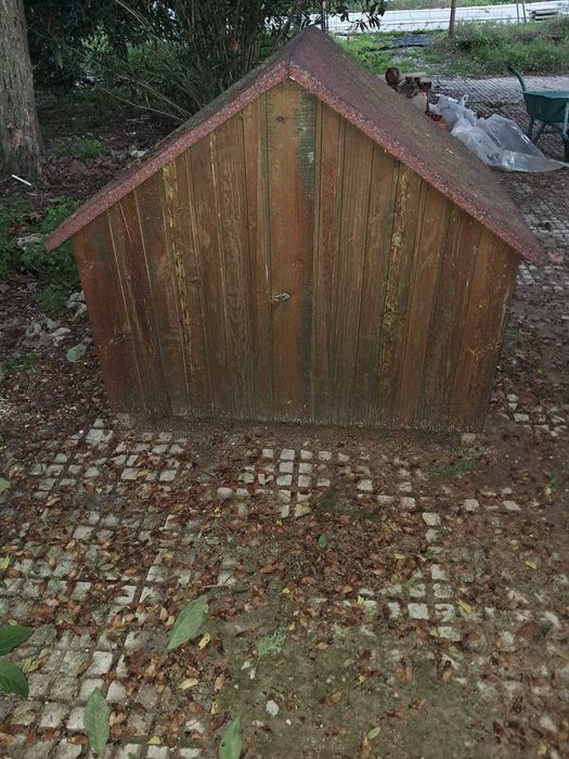 Casota cao grande em madeira