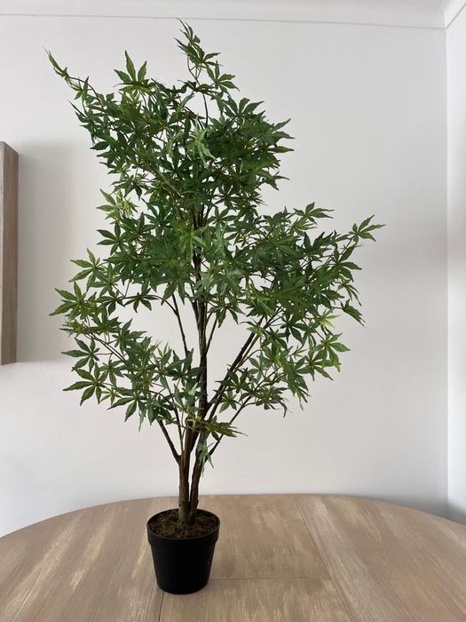 Planta plástico // Bordo Japonês