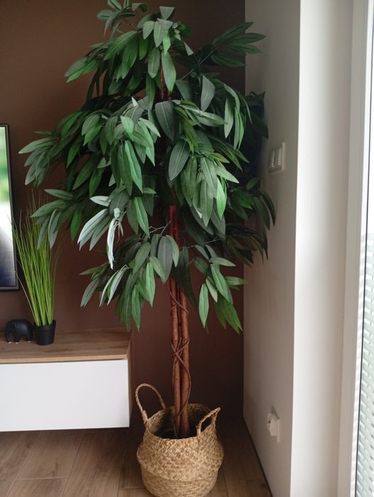 Drzewko sztuczne mango