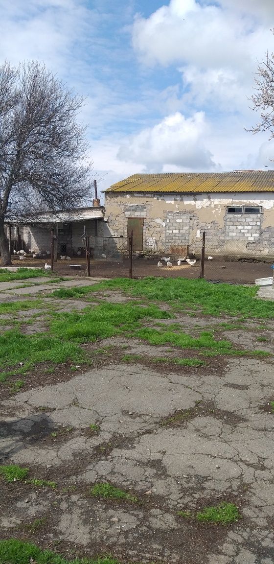 Складськи приміщеня та ферми для птиці і худоби