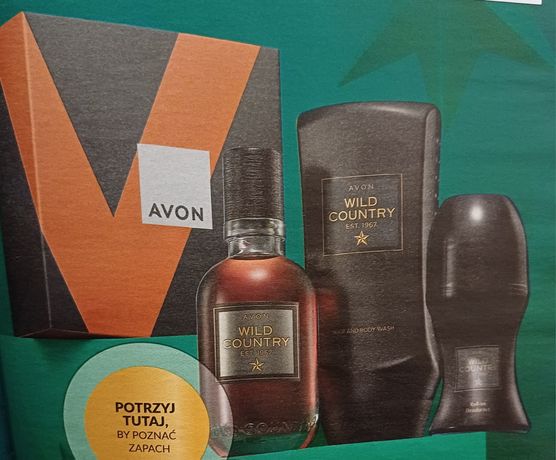 Zestaw wild country Avon