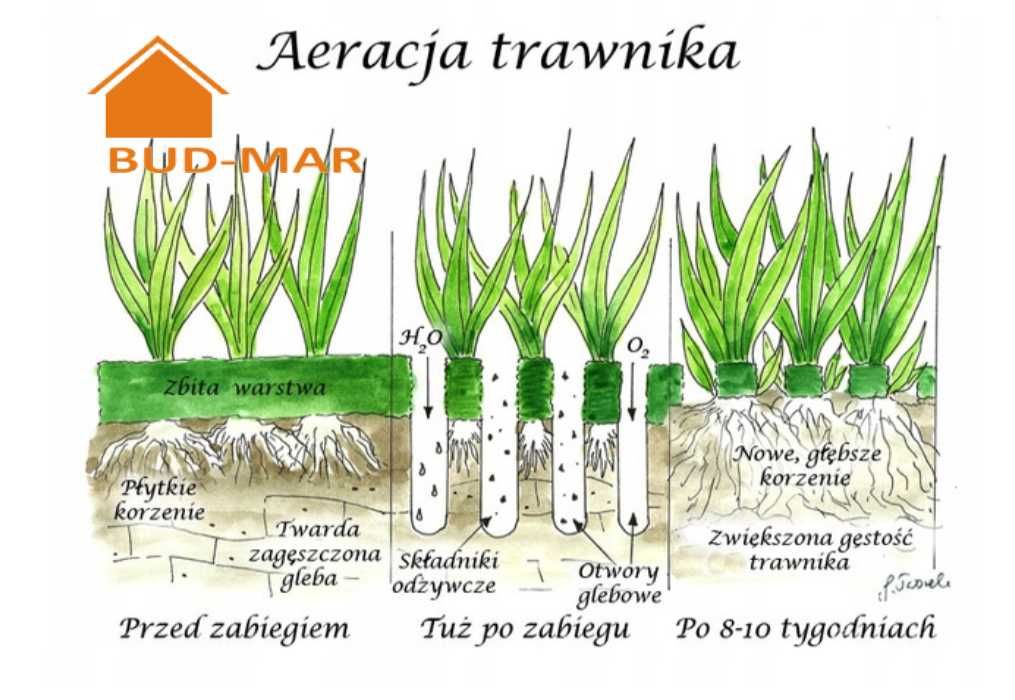 Wynajmę wertykulator aerator rurkowy do trawy wynajem