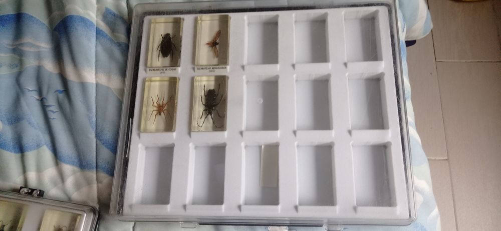 Coleção incompleta os bichos