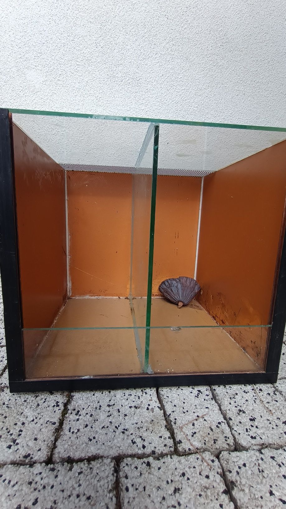 Terrarium 30x30x30 drewniane z przegrodą
