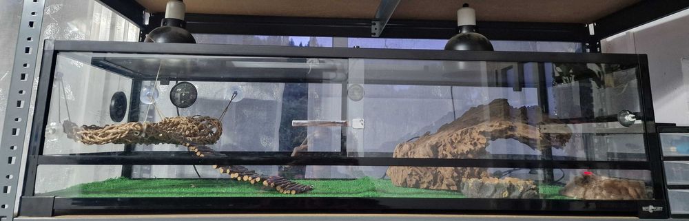 Vendo terrário répteis