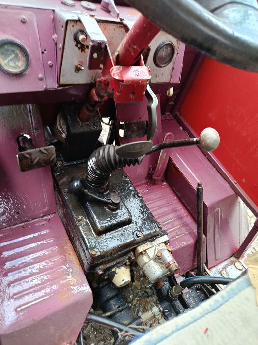 Продається Прикарпатець.