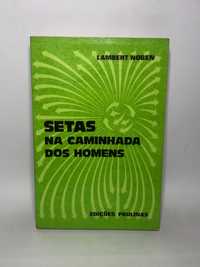 Setas na caminhada dos homens - Lambert Noben