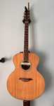 Gitara Turner Tg-45 L.R. Baggs M1A