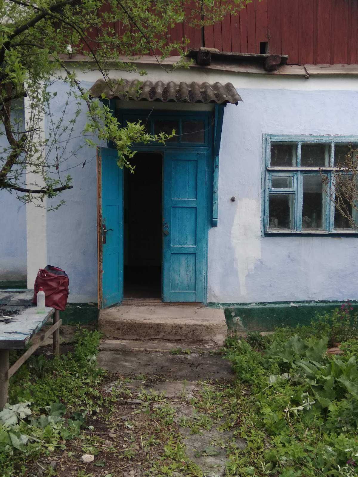 Продам будинок по вул.Центральній з присадибною ділянкою
