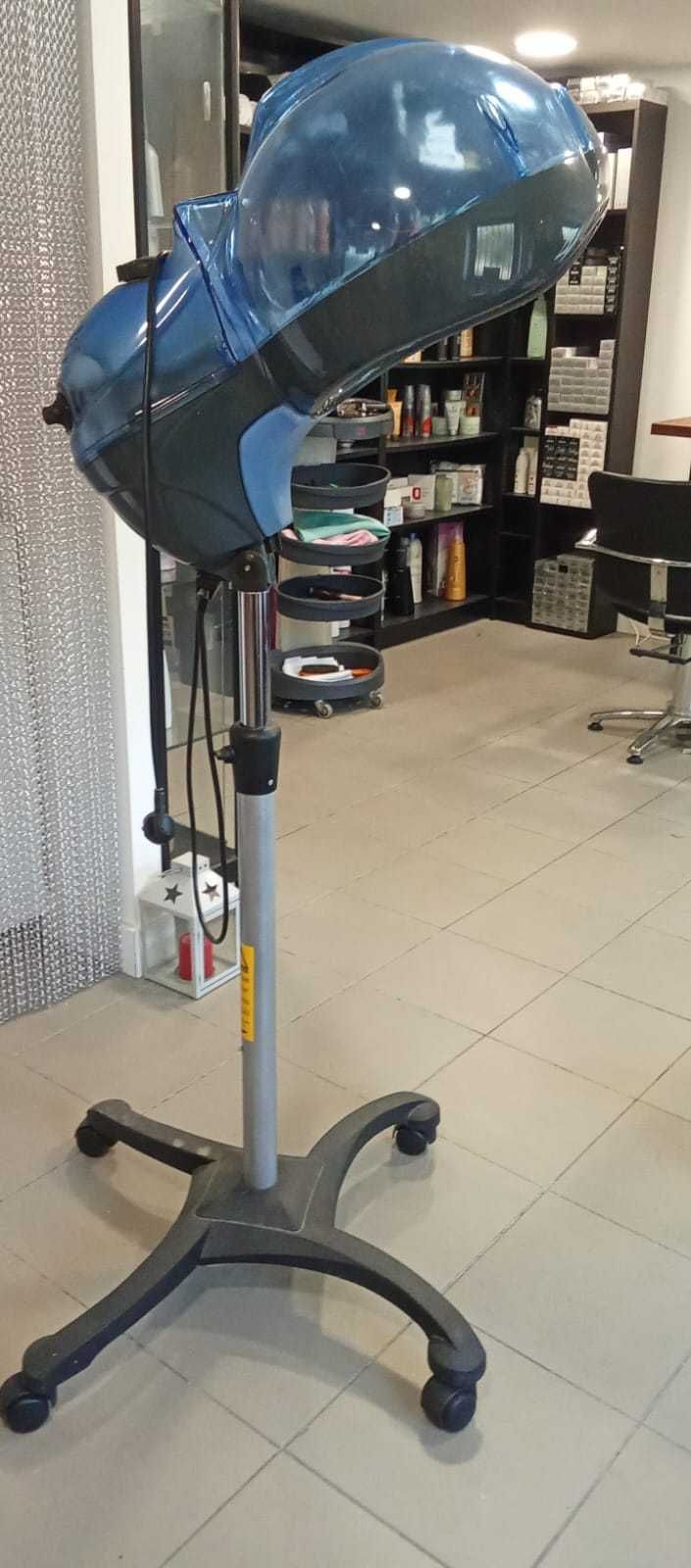 Vaporizador de Cabelo