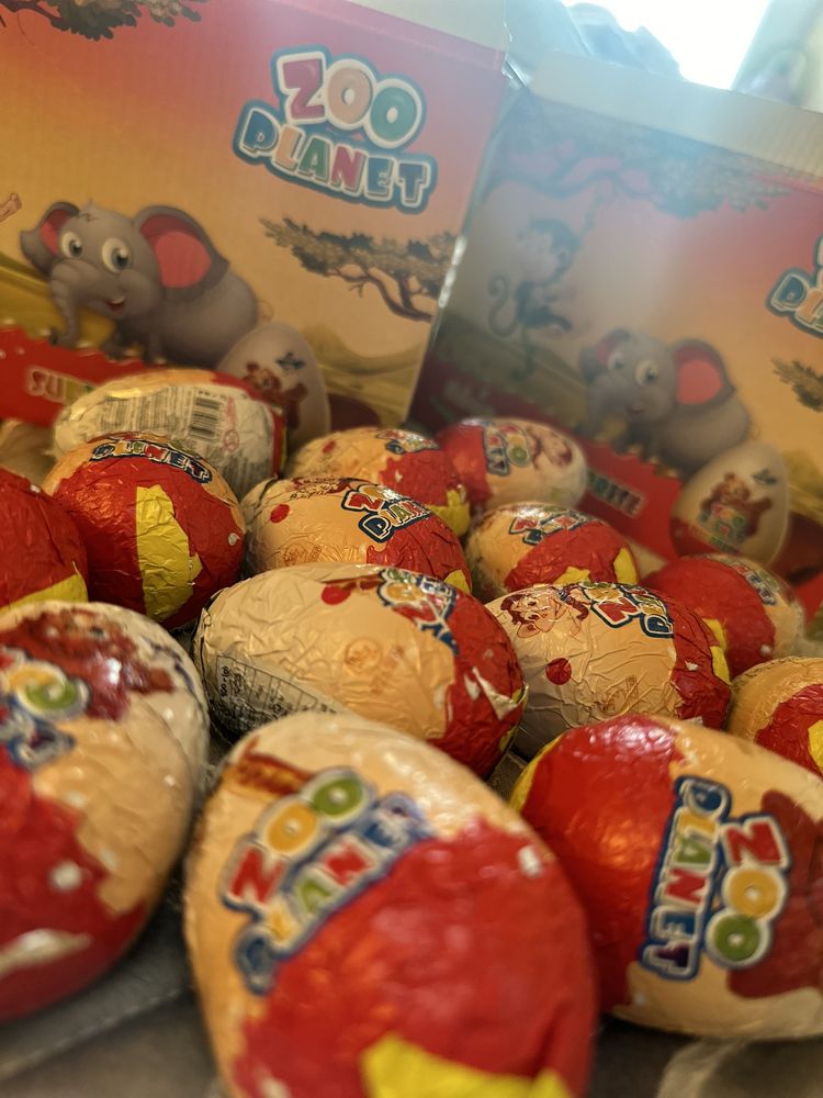 Шоколадне яйце, кіндер-сюрприз ЗООПАРК 24 шт