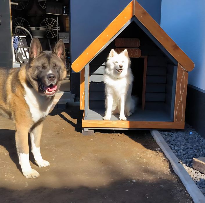 Buda dla psa z tarasem i oknem 180kg wysyłka cała PL