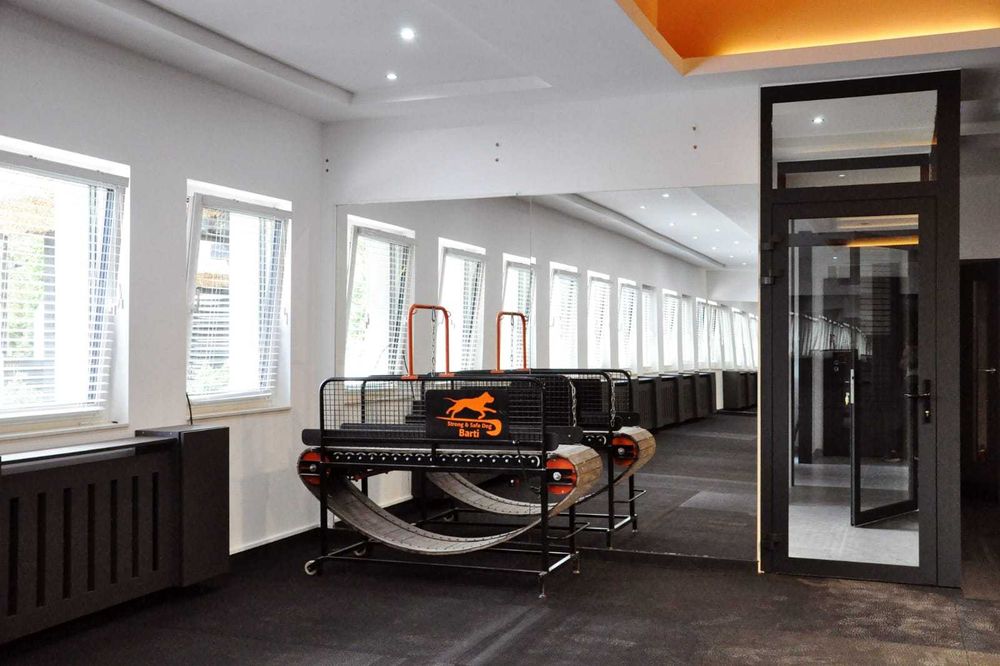 Przestronna sala treningowa dla psów - do wynajęcia 200m2 !