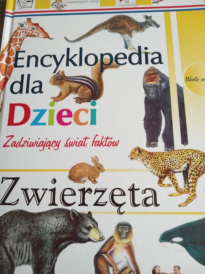 Książka dla dzieci album zwierzęta