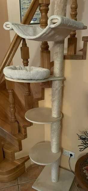 Drapak sufitowy dla kotów 240-260 cm