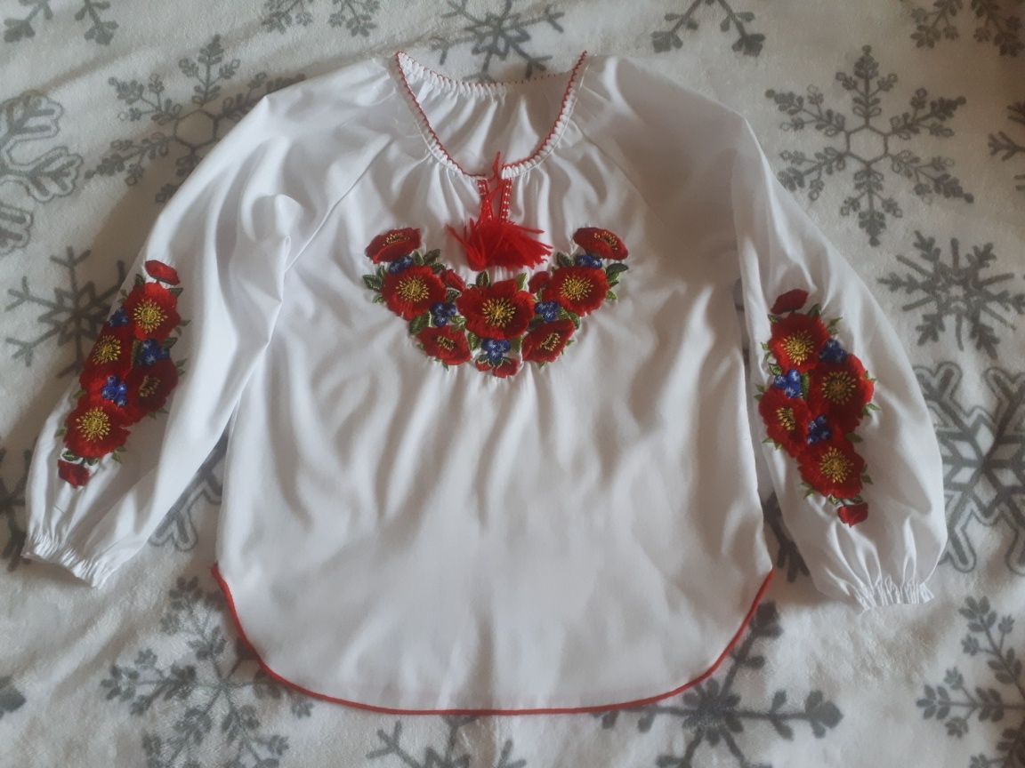 Вишиванка та спідниця