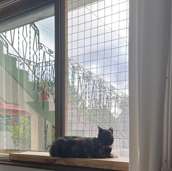 Redes de proteção para gatos/Redes anti-queda/Proteção para janelas