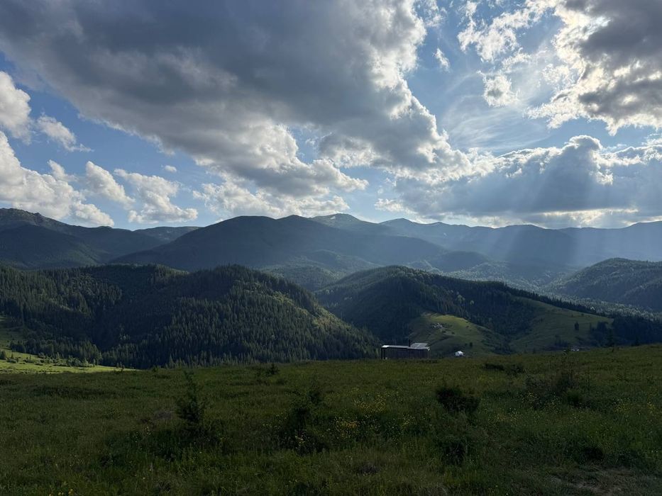 Рівна ділянка, під будову. Межує з лісом. 40 соток в Дземброні