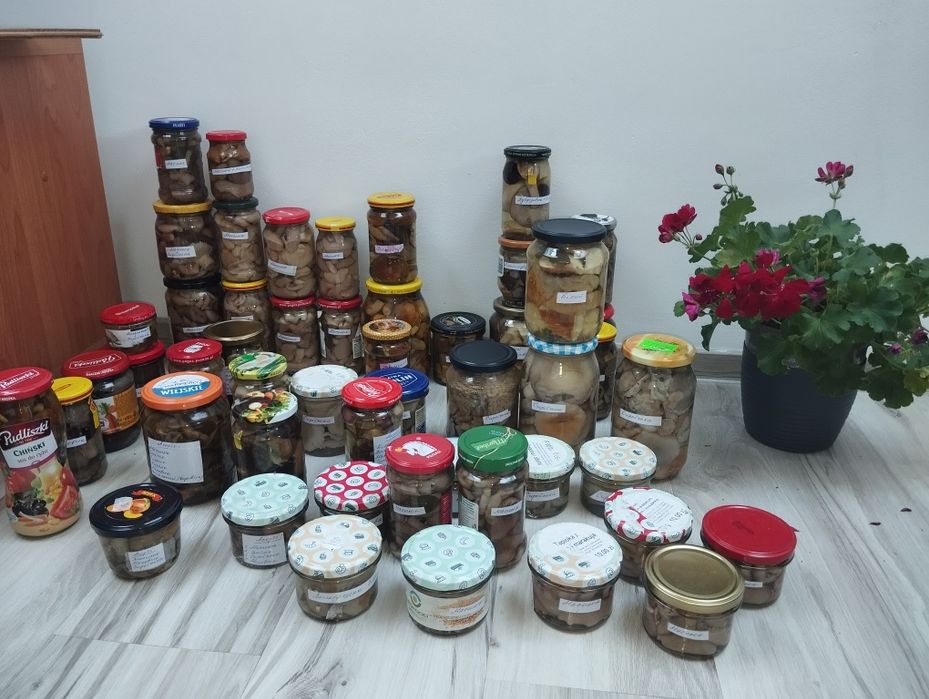 Грибы маринованные вешенка,опята,польский,говорушка,зеленушка,рядовка