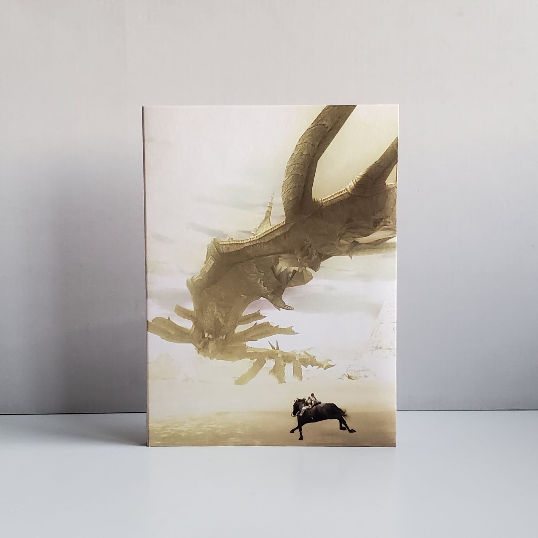 Shadow of The Colossus PS2 PAL [pt] SEM RISCOS