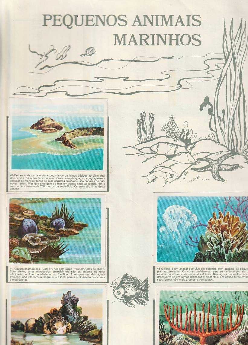 Mar fonte de vida-ULIFER - Caderneta completa com 260 cromos.