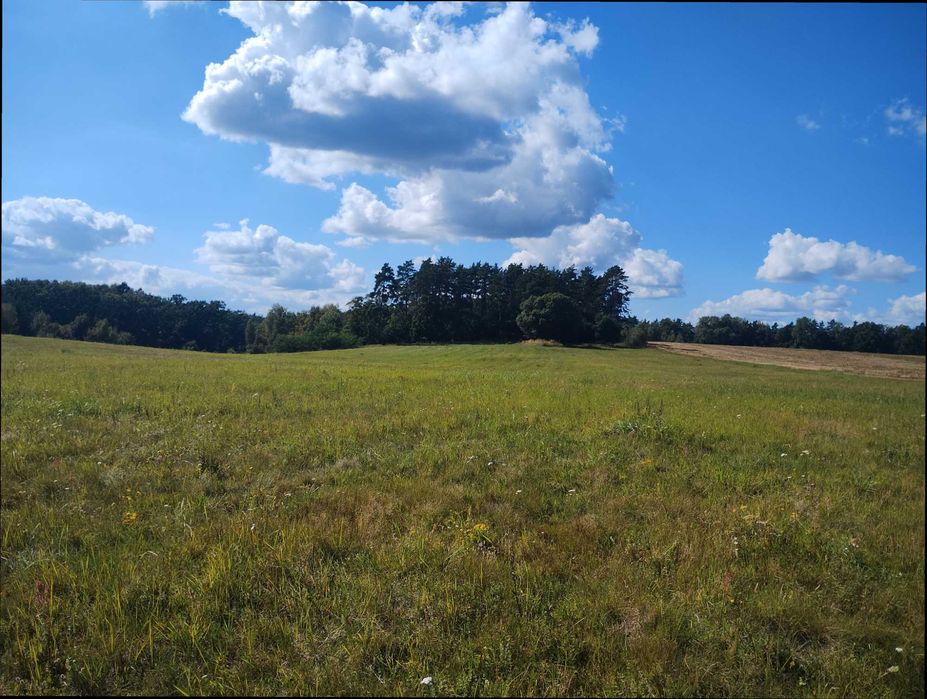 Piękna działka koło Ińska (3.000 m2)