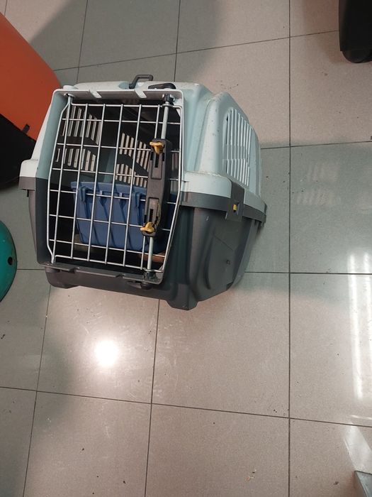 Transportadora de animais