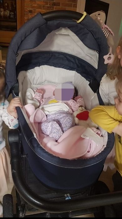 Wózek 2 w 1 baby design Husky zimowy gondola spacerówka