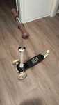 Trotinete 3 Rodas Criança Oxelo B1 500 Preto/Bege