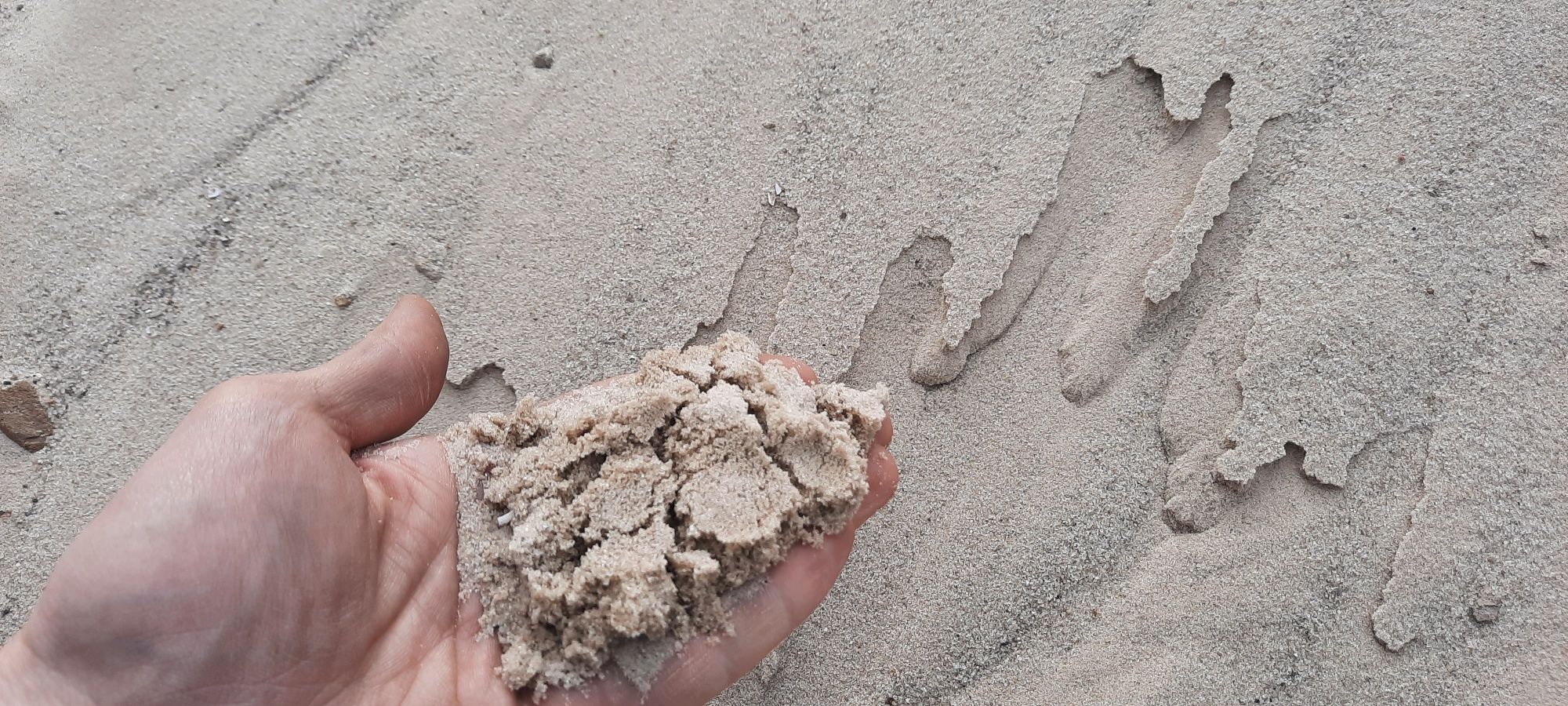 Песок мытый речной навалом строительный чистый для бетона стяжки Умань