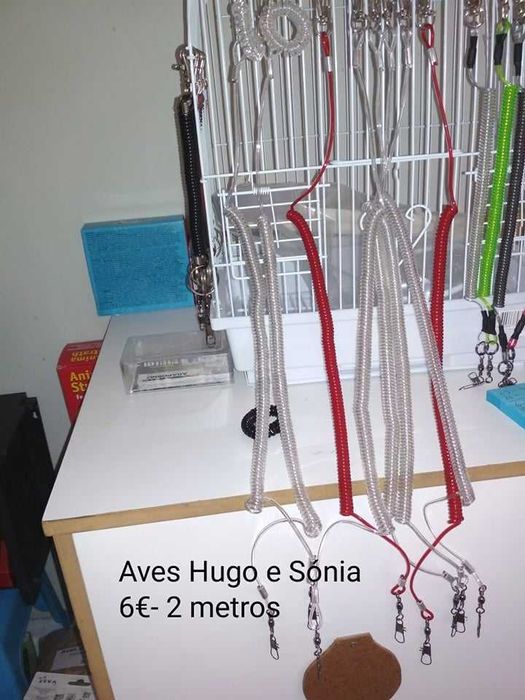 Correntes para aves domesticadas