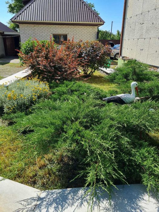 Продам 3-х пов. цегляний БУДИНОК в с. ВІЛЬНІЙ ТЕРЕШКІВЦІ.  137000